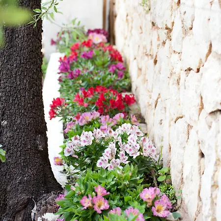 Quinta Bonita & Gardens