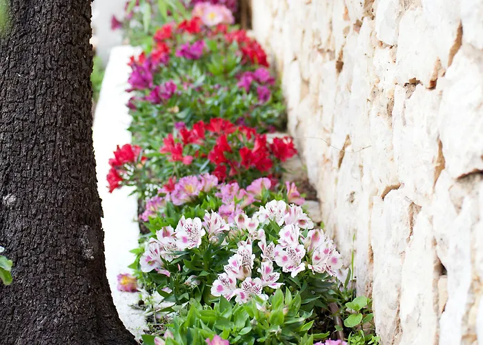 Quinta Bonita & Gardens